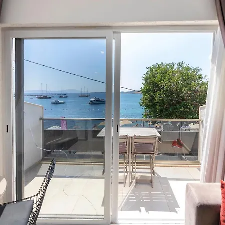 Apartment Charming Seafront With